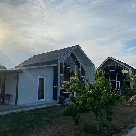 Улица Лазурна Hotel Tyulenovo Quarto foto